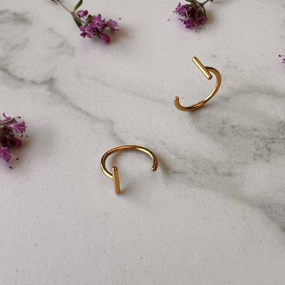 2 Fake Lip Rings - Picture 5 of 6